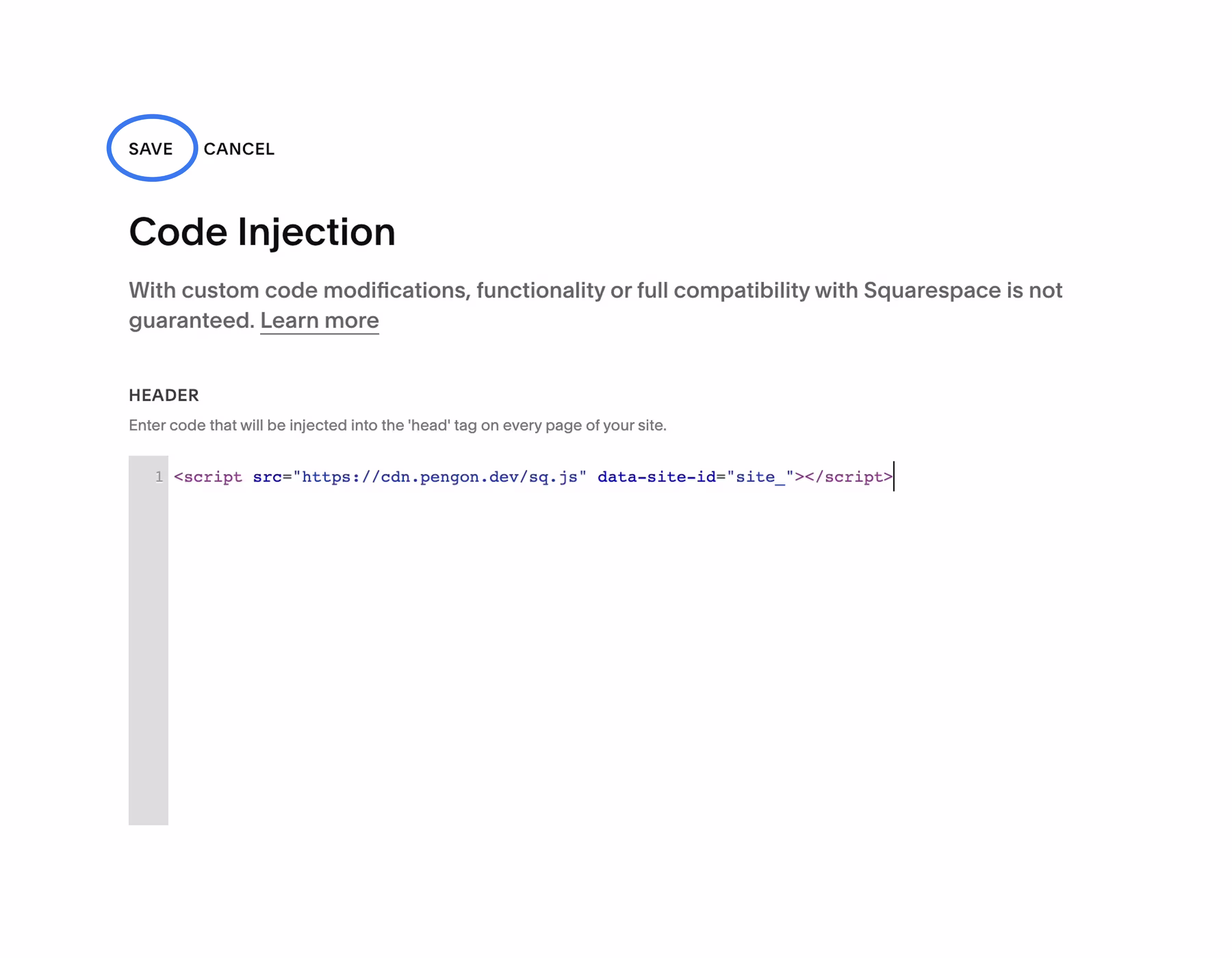 The Pengon snippet pasted into the Squarespace Header box, with Save highlighted